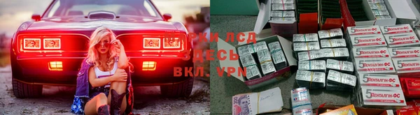 спайс Беломорск