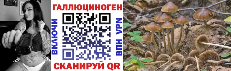 Псилоцибиновые грибы прущие грибы  Стрежевой 
